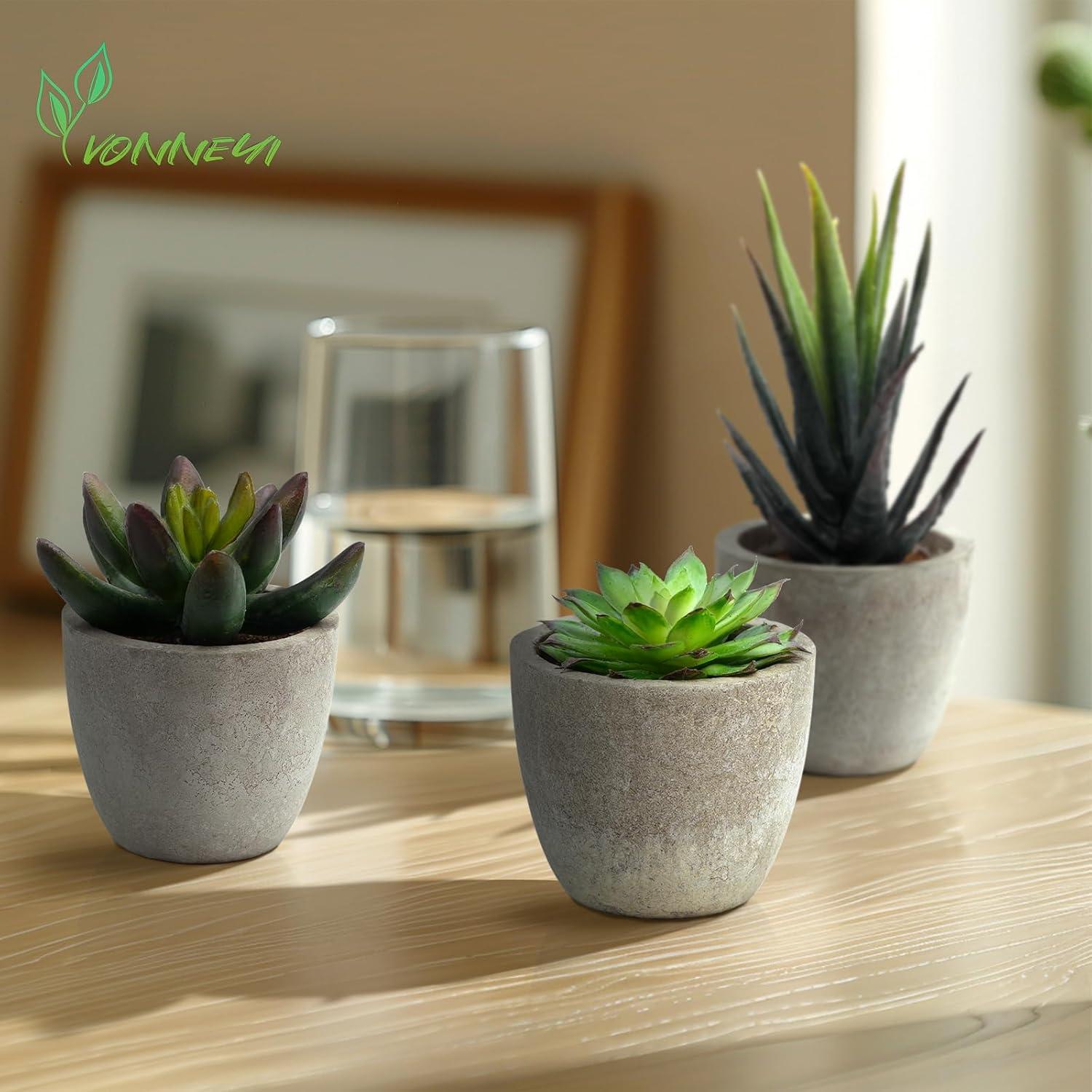 Sukkulenten Künstliche Pflanzen 5er Set mit Topf für Wohnzimmer Büro Deko