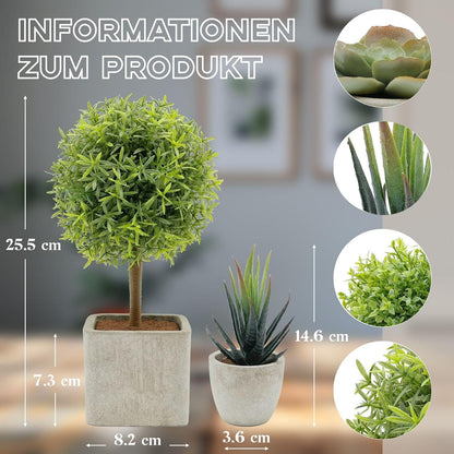 Kunstpflanzen Set Mini Sukkulenten Office Wohnzimmer Badezimmer