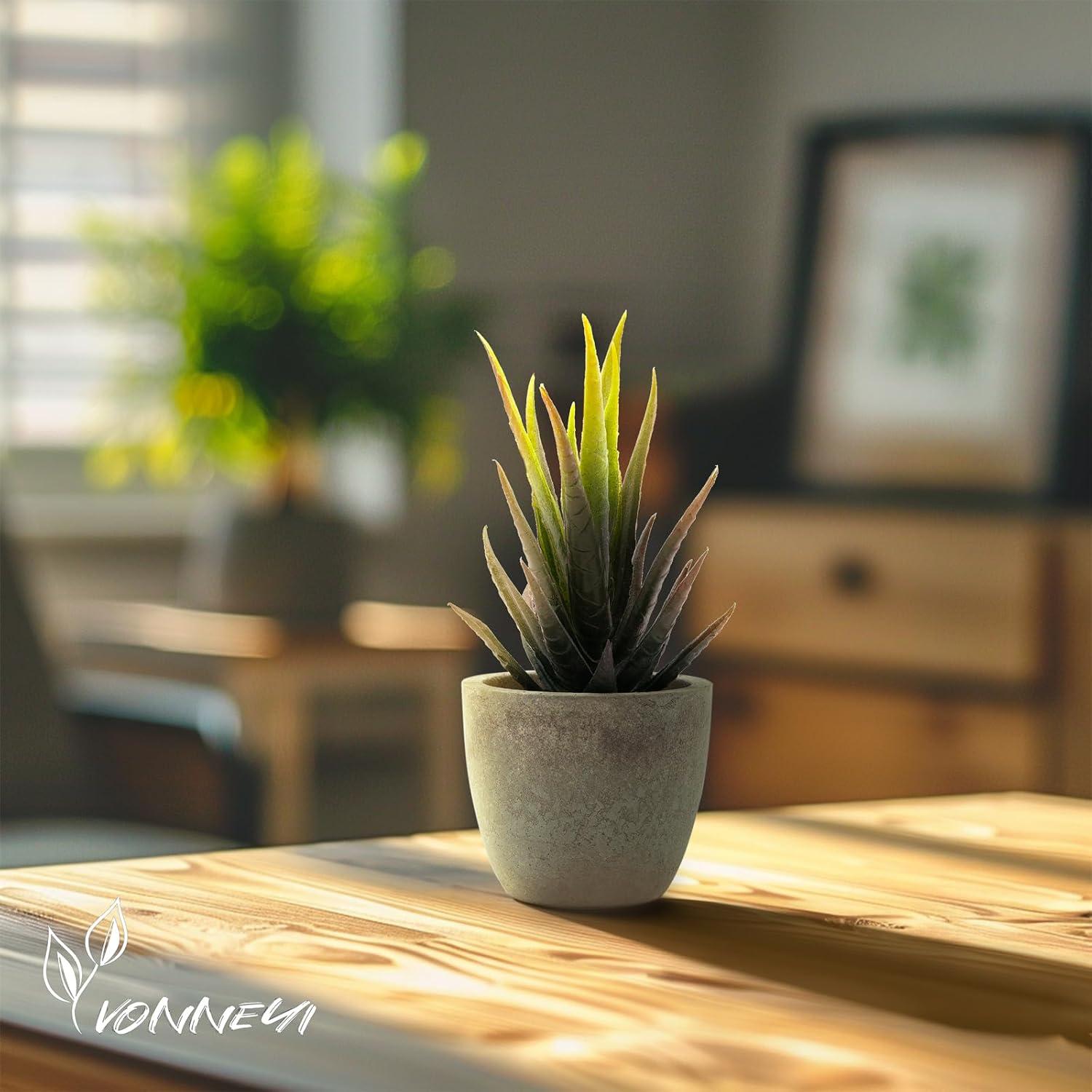 Kunstpflanzen Set 4 Stk. Sukkulenten Mini Künstlich Office Deko