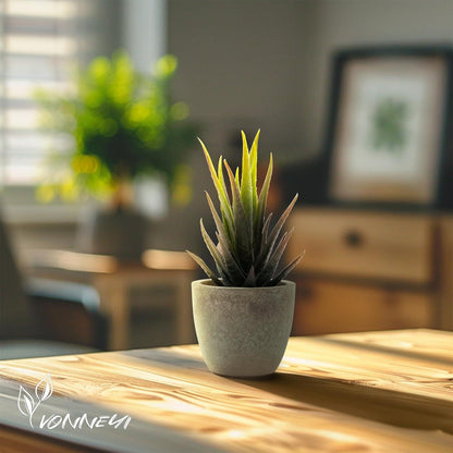 Kunstpflanzen Set 4 Stk. Sukkulenten Mini Künstlich Office Deko