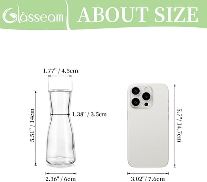 Klare Glasvase Set Klein Blumenvase Modern 6 Stück