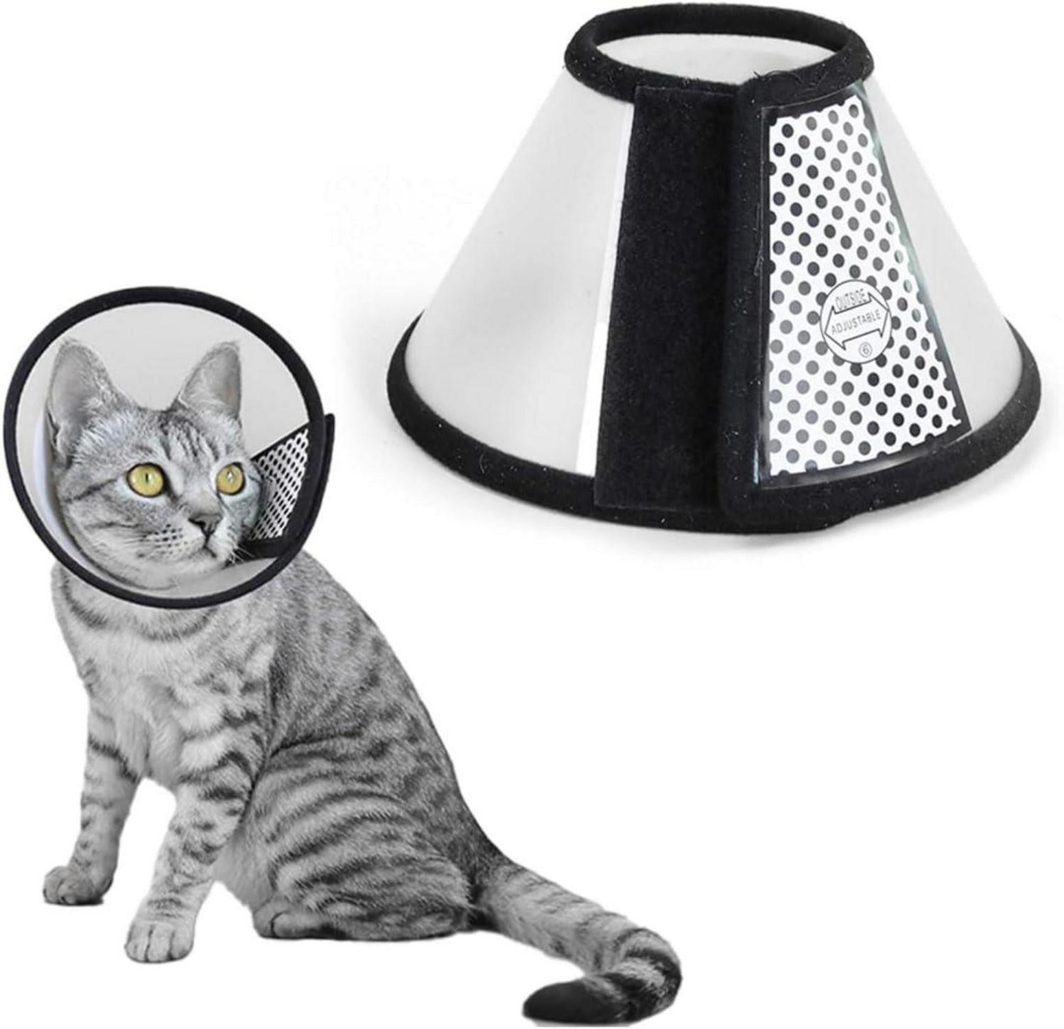 Katzen Halskrause Kunststoff Elisabethanischer Kragen XS 18-22cm