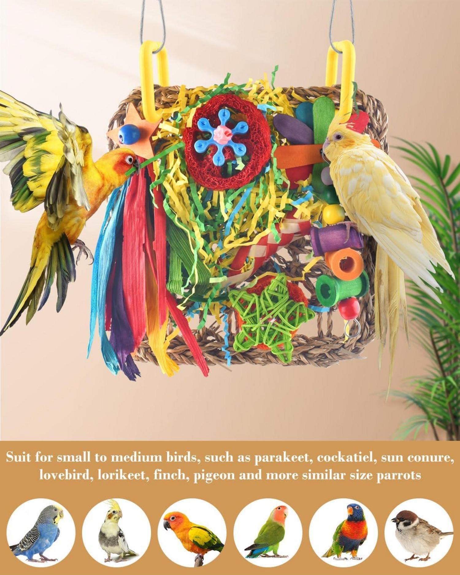 Nymphensittich Spielzeug für Papageien & Vögel - Multifunktional