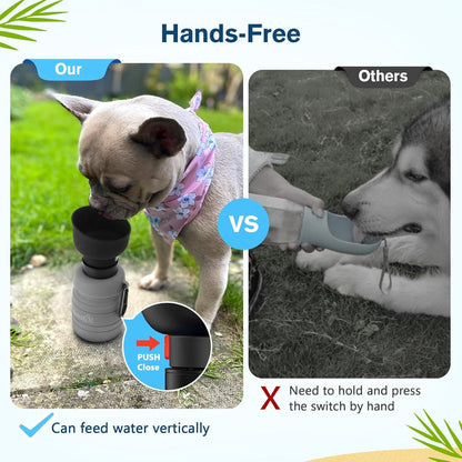 Pecute Faltbare Hundewasserflasche 850ml Grau - Sichere Trinkflasche für Unterwegs