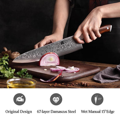 Damaststahl Kochmesser 25.5cm scharf Küchenmesser 67 Schichten profi