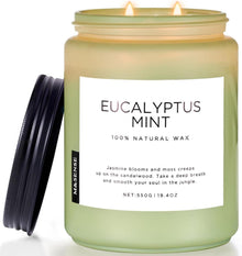 Duftkerze Eukalyptus Minze 550g 90h brennend 2 Docht Aromatherapie Spa