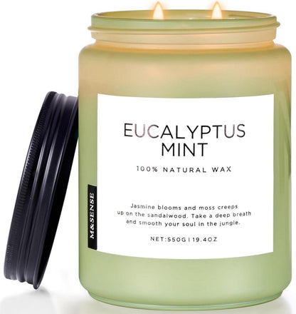 Duftkerze Eukalyptus Minze 550g 90h brennend 2 Docht Aromatherapie Spa