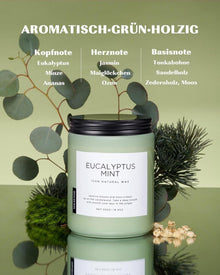 Eukalyptus Minze Duftkerze im Glas 550g 90 Stunden