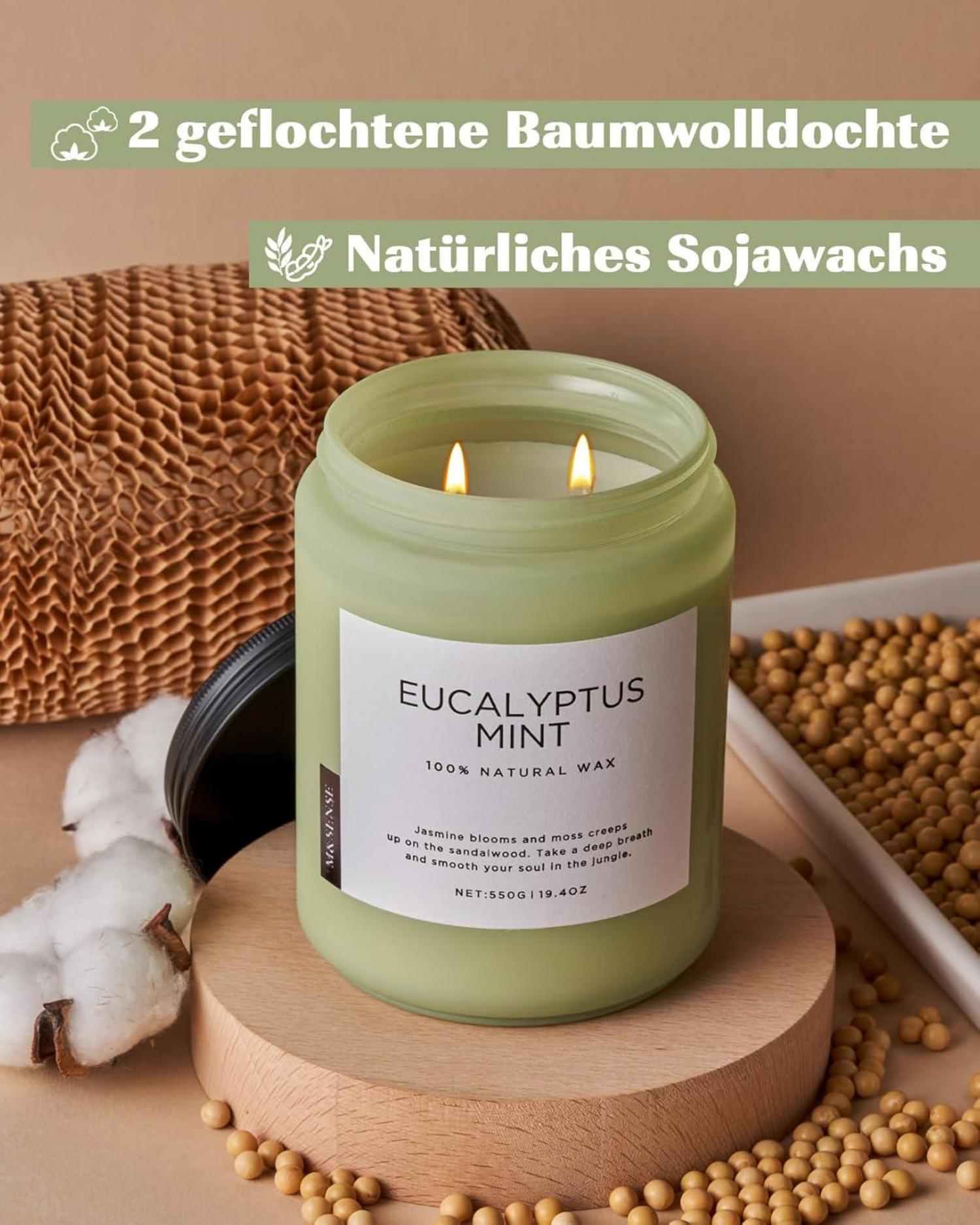 Duftkerze Eukalyptus Minze 550g 90h brennend 2 Docht Aromatherapie Spa