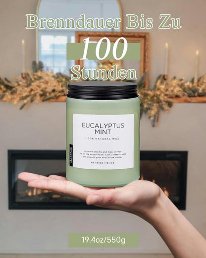 M&SENSE Duftkerze Eukalyptus Minze 550g 90h Brenndauer 2-Docht Aromatherapie Spa Yoga