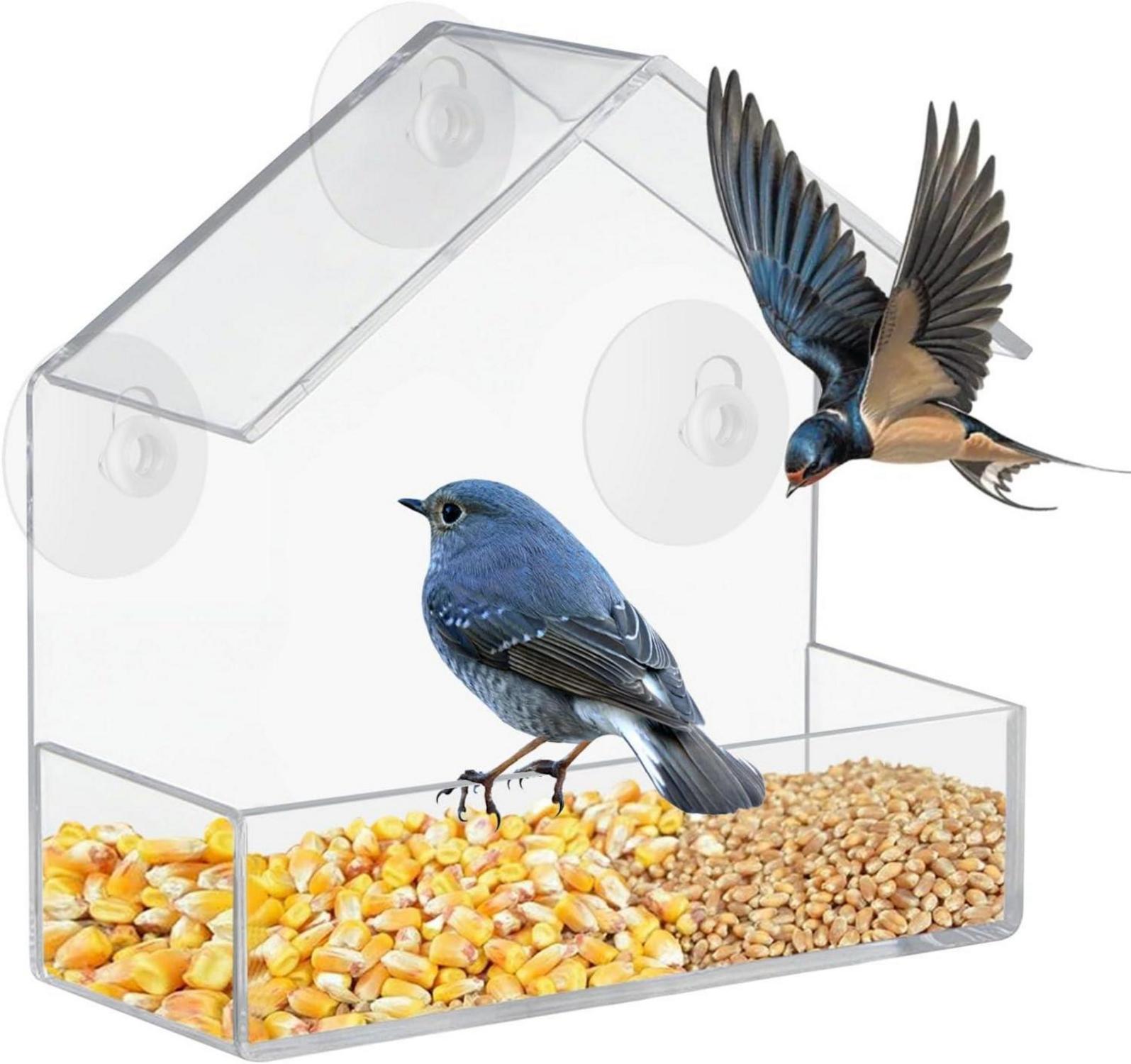 Vogelfutterhaus Fenster Acryl Bird Feeder 15x15x6.3cm für Meisen