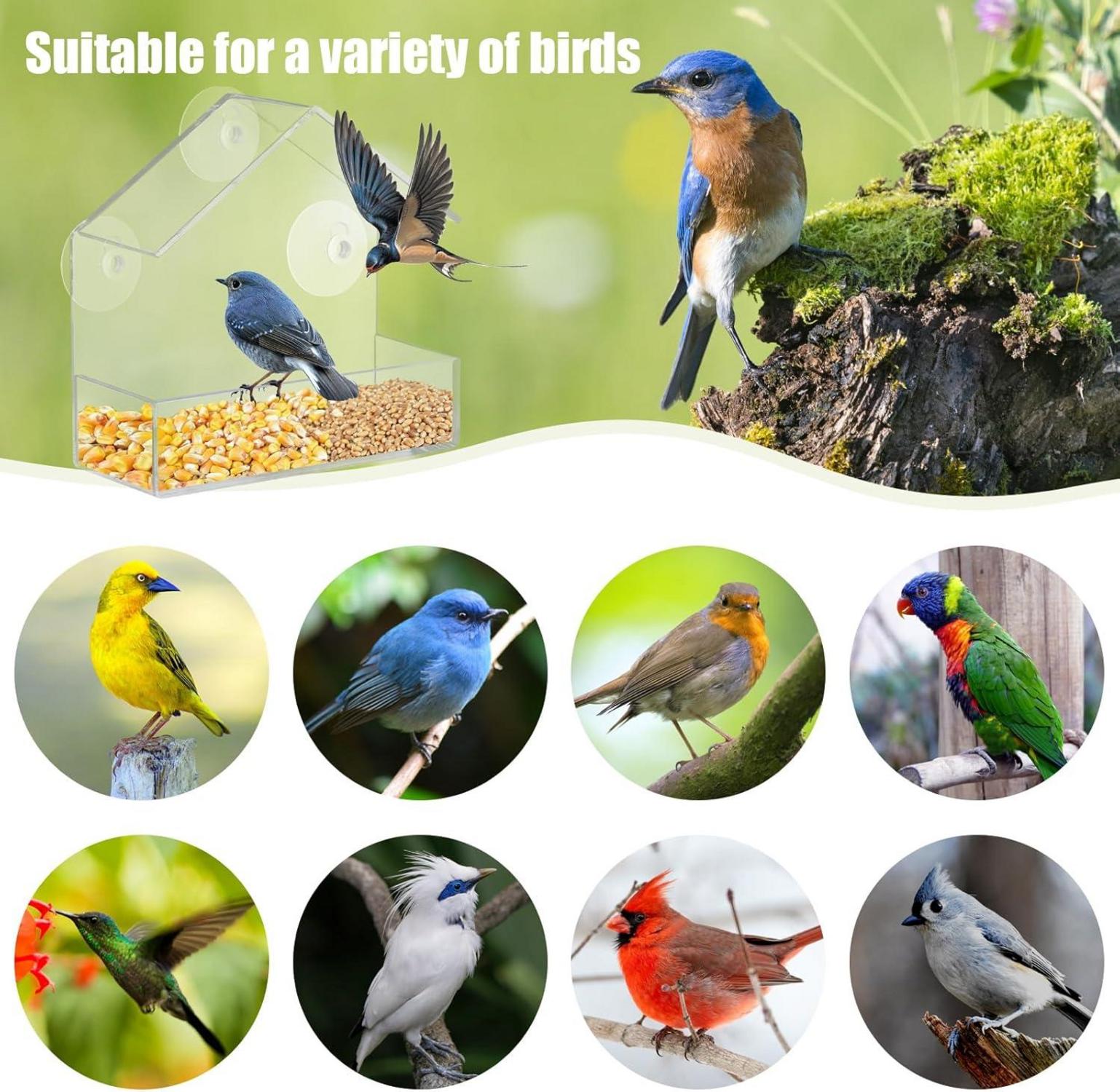 Vogelfutterhaus Fenster Acryl Bird Feeder Transparent