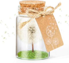 Echte Pusteblume im Glas - Wunscherfüller Geschenkbox