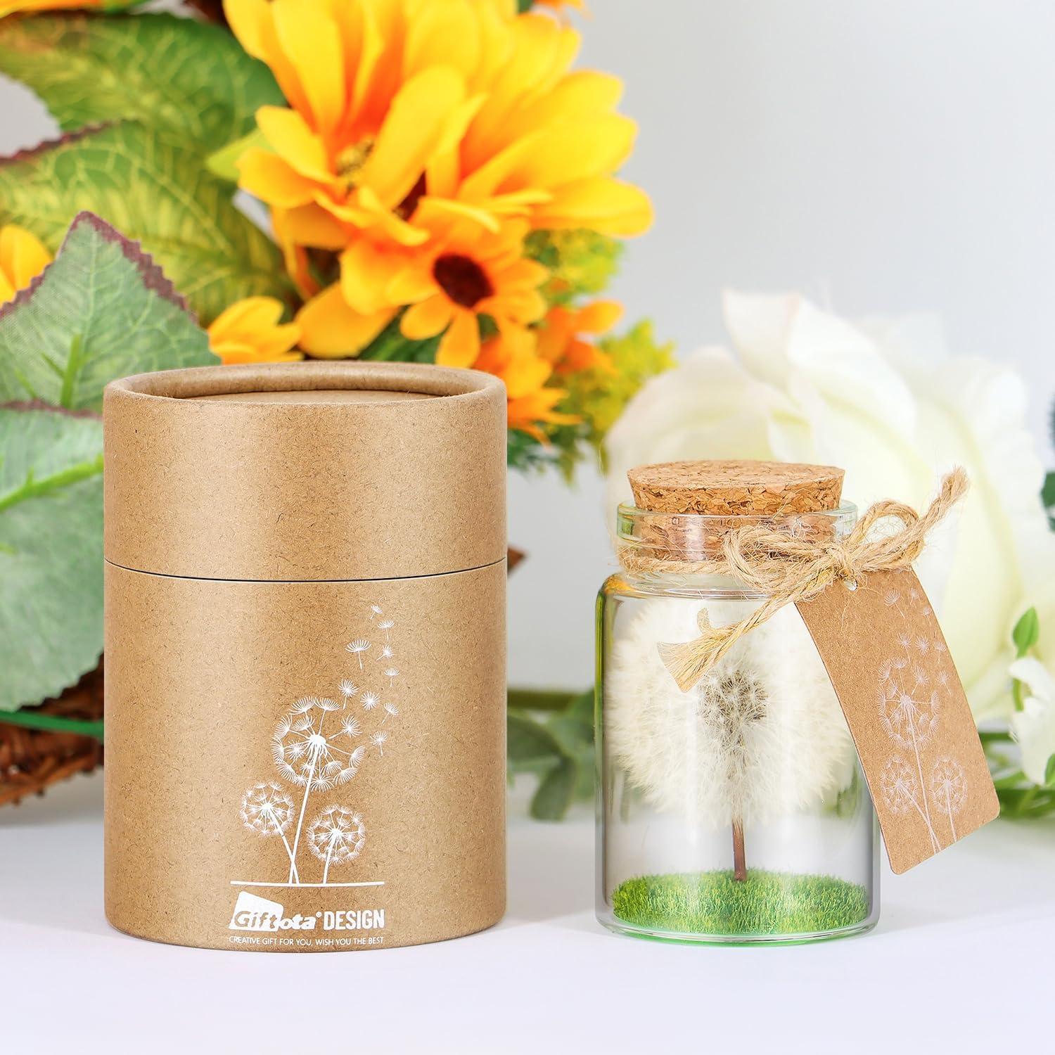 Echte Pusteblume im Glas mit Geschenkbox
