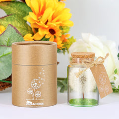 Echte Pusteblume im Glas mit Geschenkbox