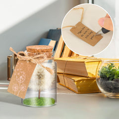 Echte Pusteblume im Glas - Handgefertigtes Geschenk für Geburtstag, Hochzeit - Wunscherfüller von Giftota
