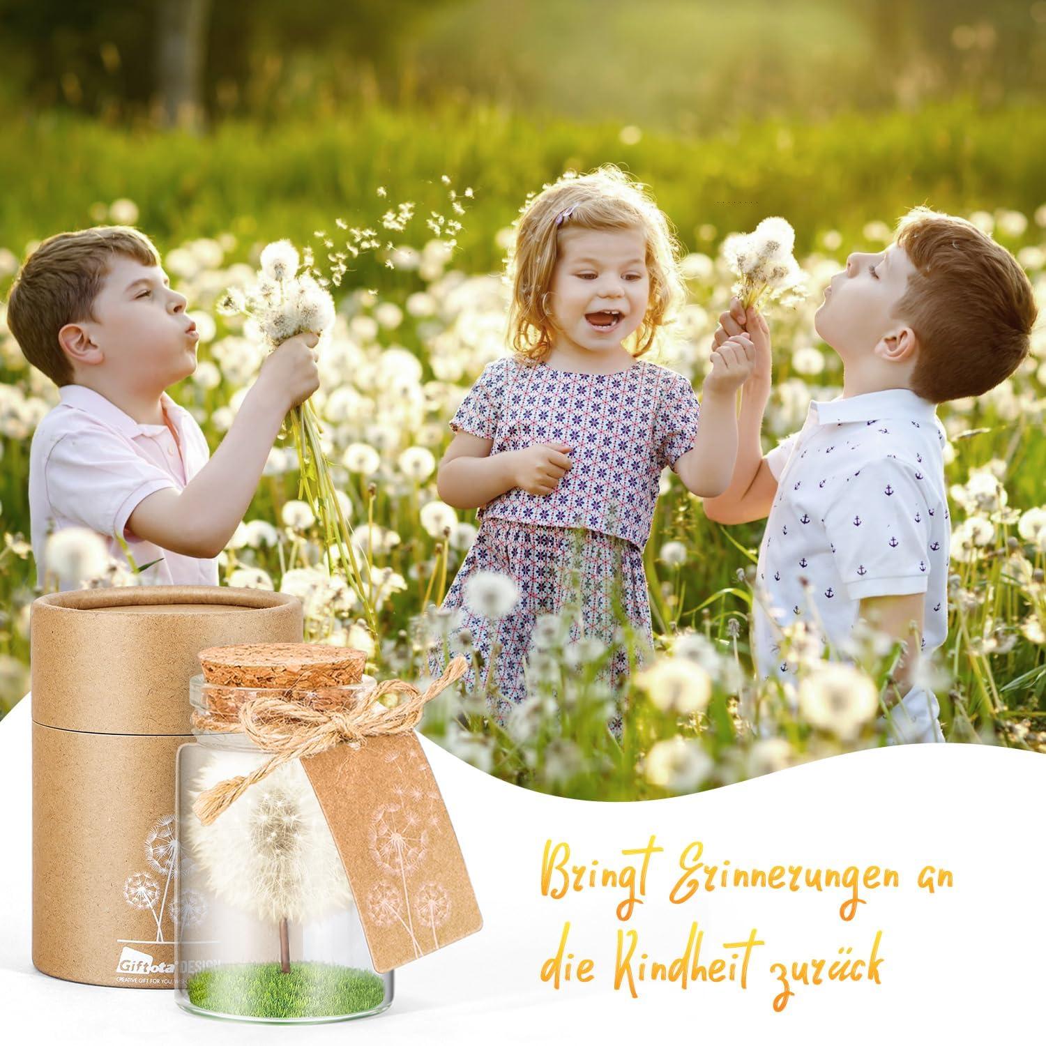 Echte Pusteblume im Glas Geschenkbox handgefertigt Geburtstag Hochzeit