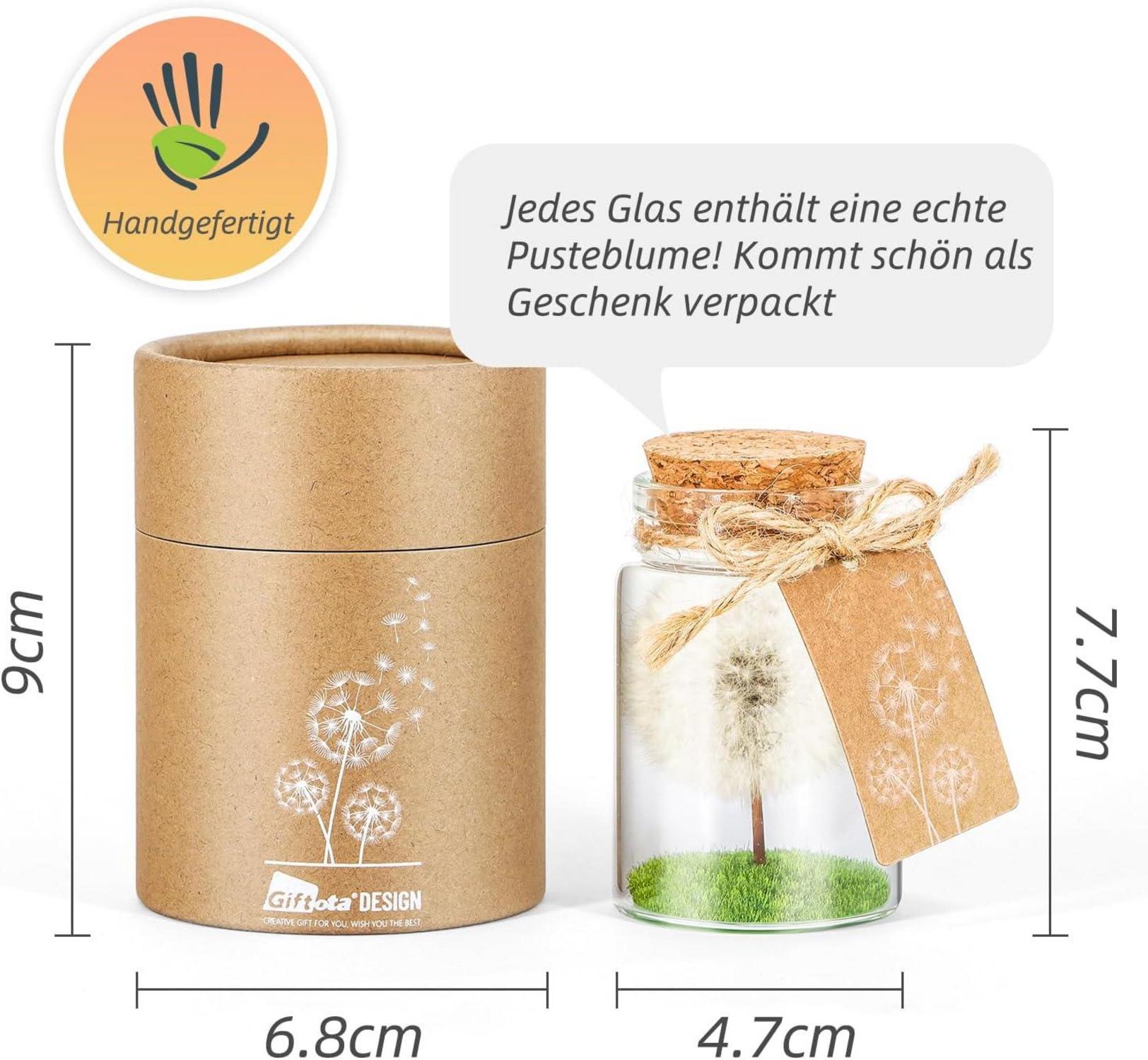 Echte Pusteblume im Glas mit Geschenkbox - Handgefertigt, Geburtstag, Hochzeit