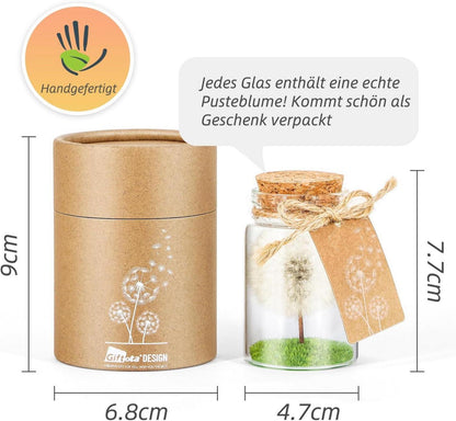 Echte Pusteblume im Glas mit Geschenkbox - Handgefertigt, Geburtstag, Hochzeit