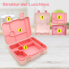Brotdose Kinder mit Fächern Bento Lunchbox Auslaufsicher