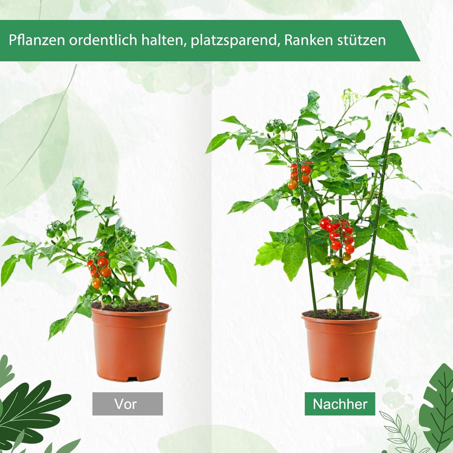 Rankhilfe Tomate Gurke Blume Stahl Kunststoff Gemüse Blume