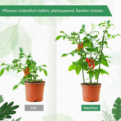 Rankhilfe Tomate Gurke Blume Stahl Kunststoff Gemüse Blume