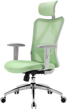 Ergonomischer Bürostuhl mit Kopf- und Lendenwirbelstütze