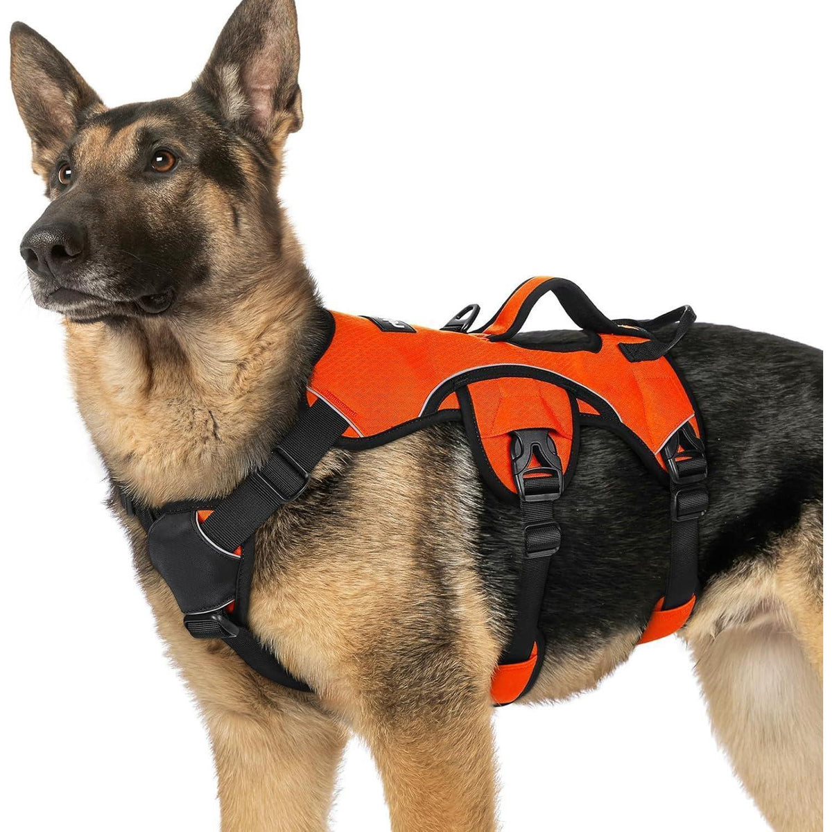 Ausbruchsicheres Hundegeschirr mit Griff, Orange XL