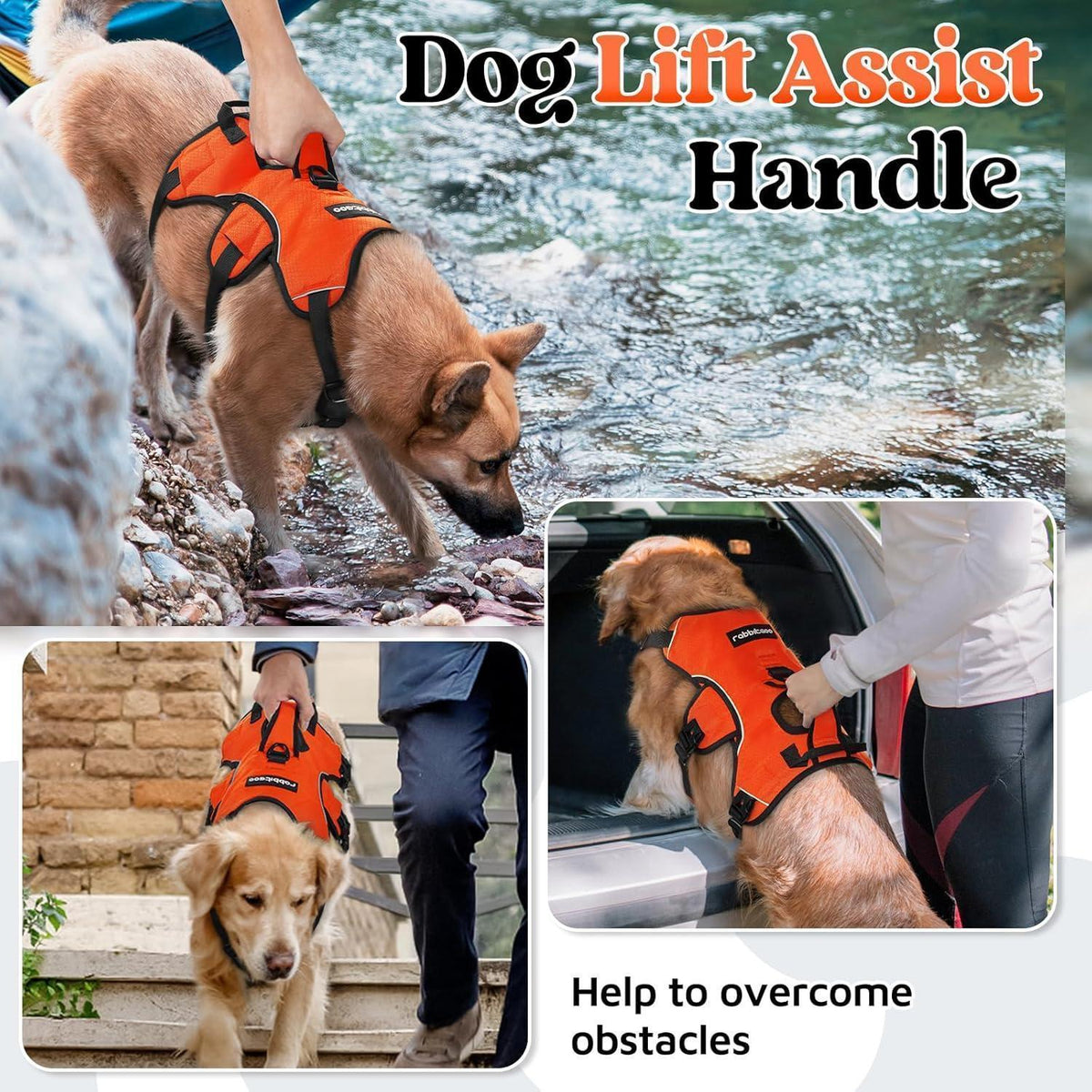 Ausbruchsicheres Hundegeschirr mit Griff, Orange XL