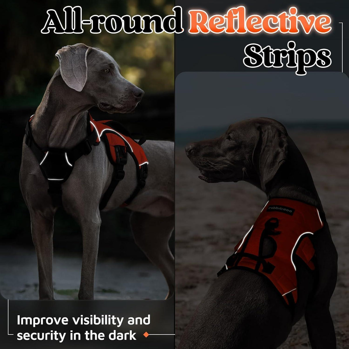 Ausbruchsicheres Hundegeschirr mit Griff, Orange XL
