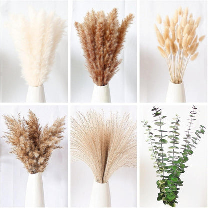 110-teiliges Set getrocknete Pampas & Eukalyptus - Boho-Dekor für