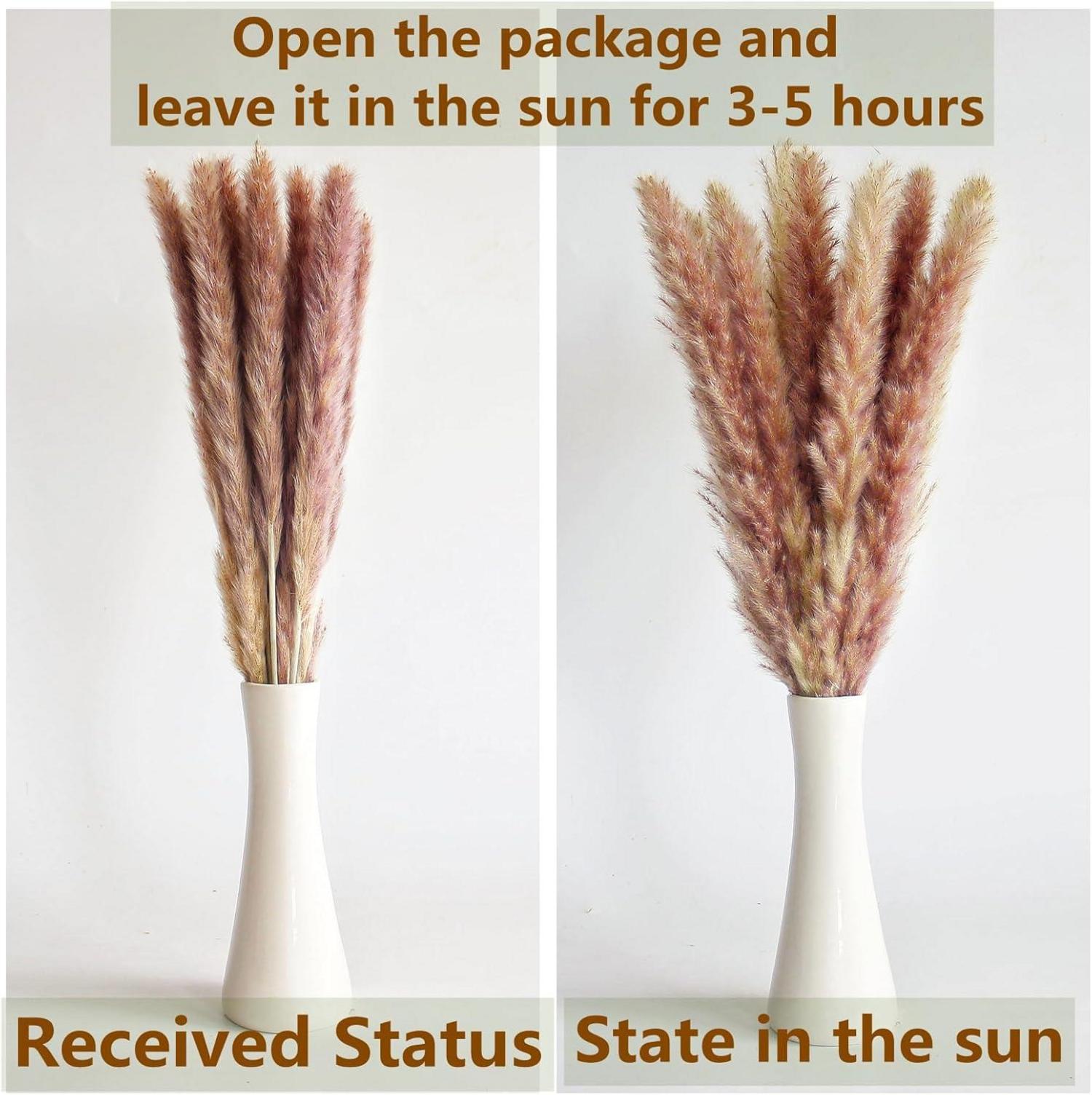 110-teiliges Set getrocknete Boho-Pampasgras-Deko für Hochzeiten