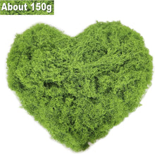 Kunstmoos 150g Deko Basteln Künstliches Moos Aquarium