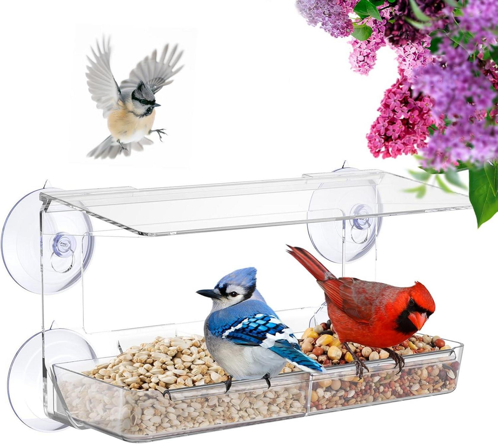 Transparente Vogelfutterstation für Fenster, Fenster Vogelhaus