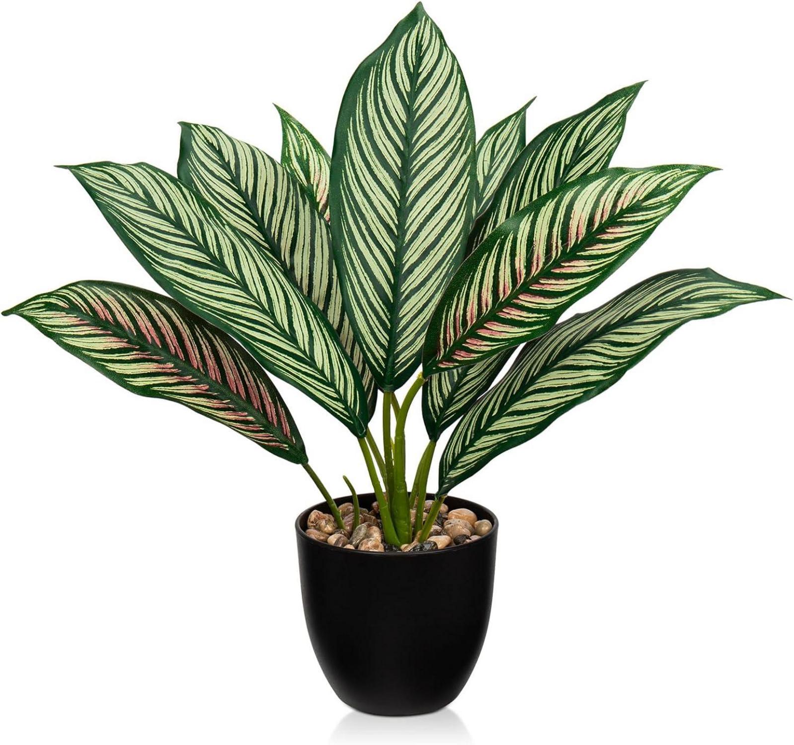 Künstliche Calathea Pflanze Buschig Kunststofftopf 8 Blätter 33cm