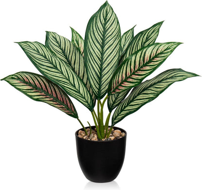 Künstliche Calathea Pflanze Buschig Kunststofftopf 8 Blätter 33cm