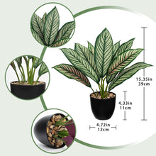 Kunstpflanze Calathea 33cm Grün-Rot mit 8 Blättern im