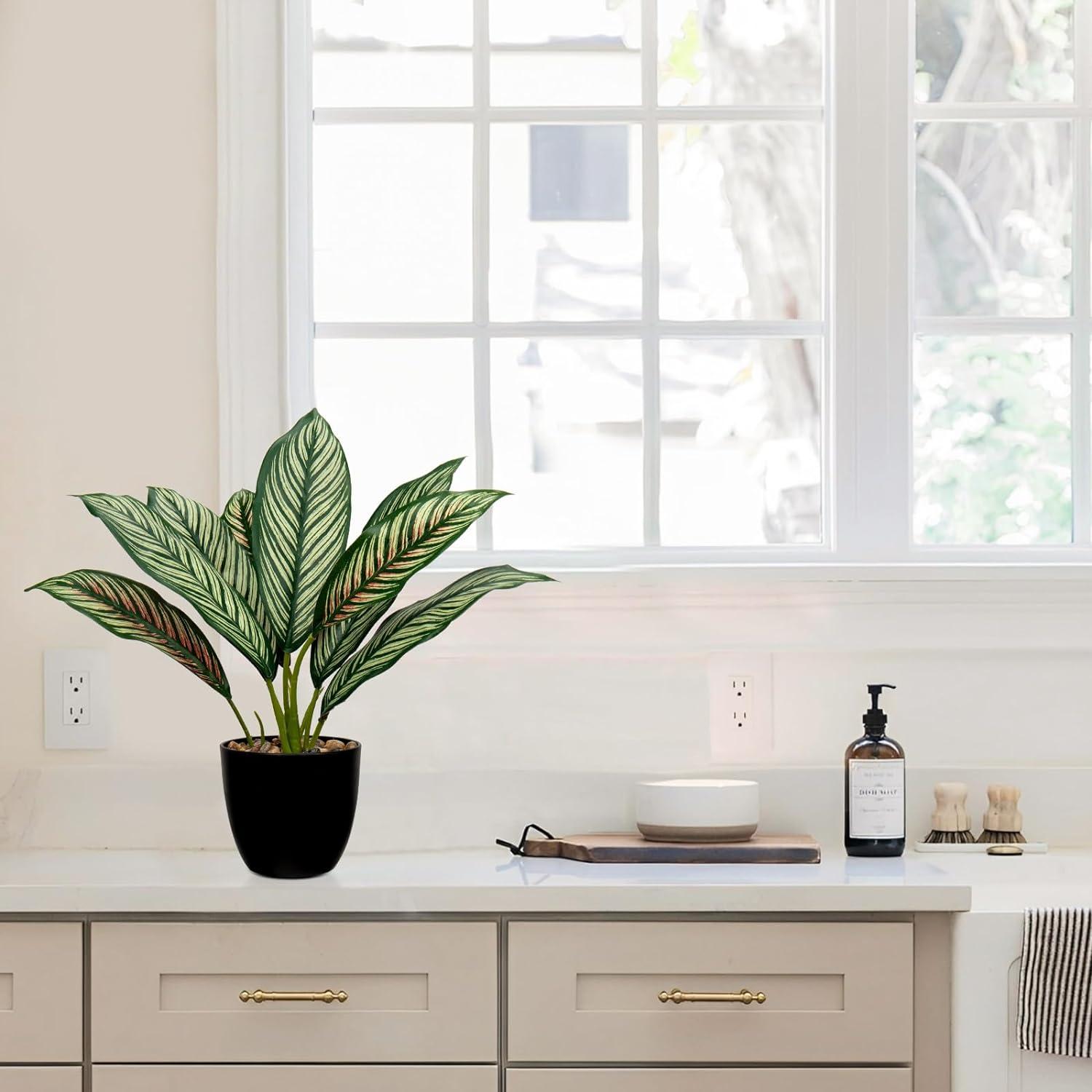 Künstliche Calathea Pflanze 33cm Grün-Rot Kunststofftopf 8 Blätter Echtwirkung