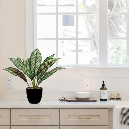 Künstliche Calathea Pflanze 33cm Grün-Rot Kunststofftopf 8 Blätter Echtwirkung