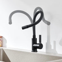 Flexibler Wasserhahn Schwarz - Spültischarmatur