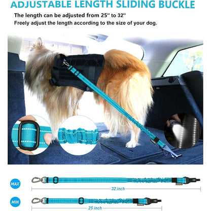 Hund Auto Sicherheitsgurt mit Bungee & 360° Drehklickverschluss