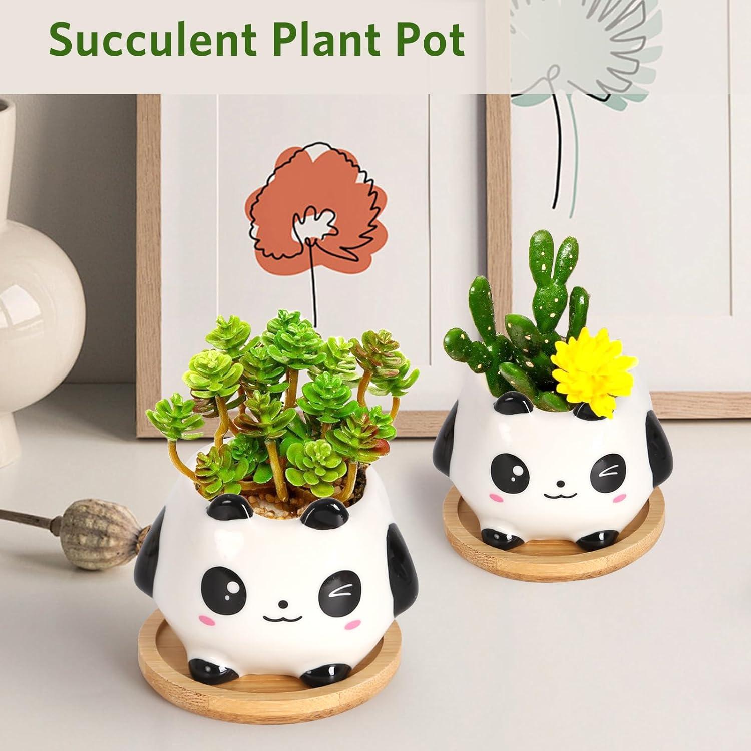 Panda-Kerzen Set, 100% Bio-Sojawachs, Duftkerzen, Geschenke Frauen
