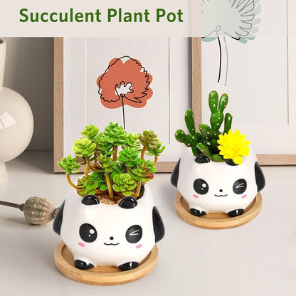 Panda-Kerzen Set, 100% Bio-Sojawachs, Duftkerzen, Geschenke Frauen