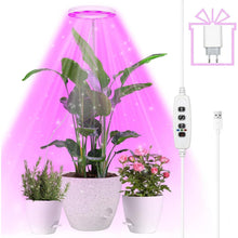 Pflanzenlampe LED Vollspektrum Grow Lampe Höhenverstellbar