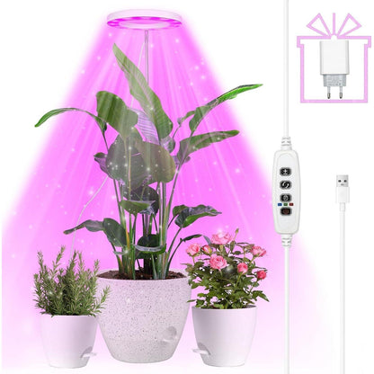 Pflanzenlampe LED Vollspektrum Grow Lampe Höhenverstellbar