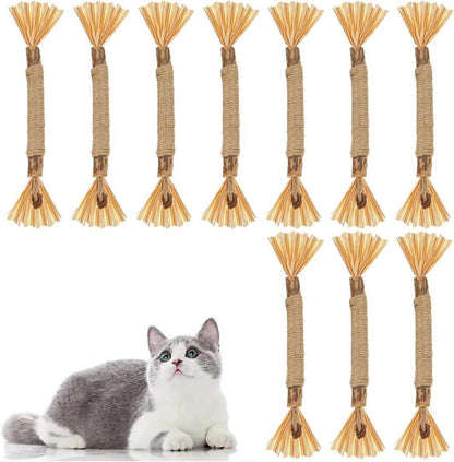 Katzenminze Sticks Interaktives Katzenspielzeug Zahnpflege