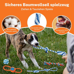Toozey Hundespielzeug Set für kleine Hunde mit 8 Stück, interaktiv