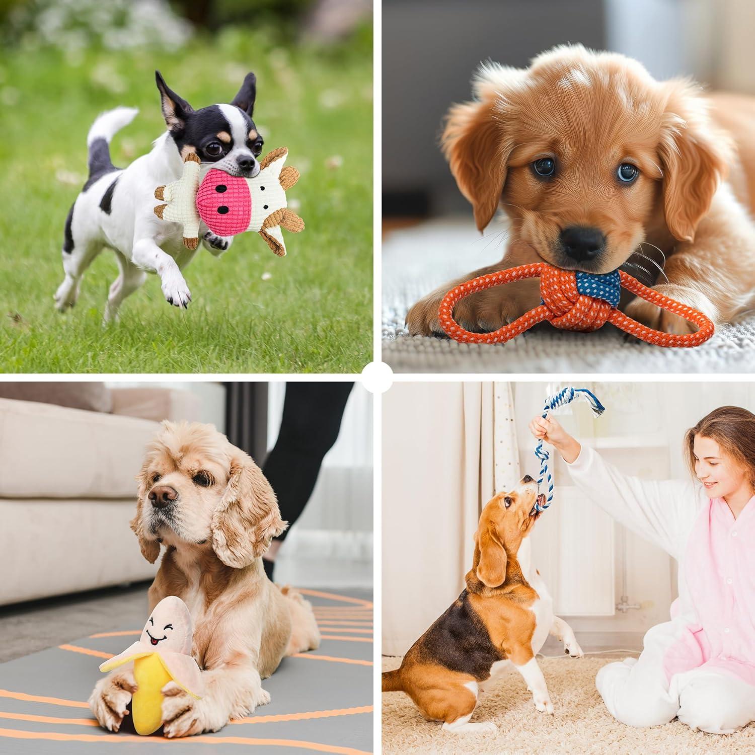Hundespielzeug Set 8-teilig für kleine Hunde, interaktives