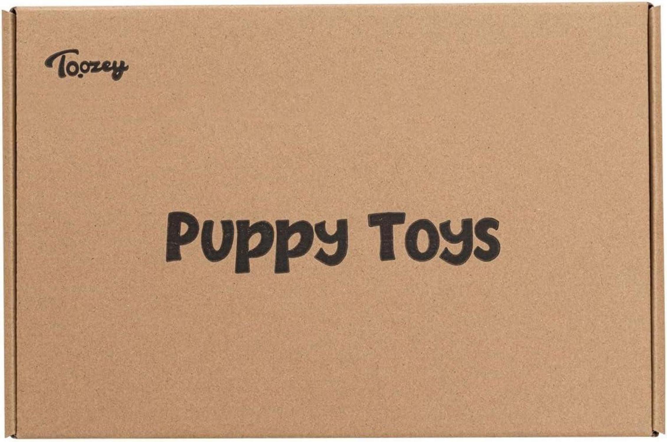 Toozey Hundespielzeug Set für Kleine Hunde - 8-teiliges Welpenspielzeug & Quietschendes Hundeseil