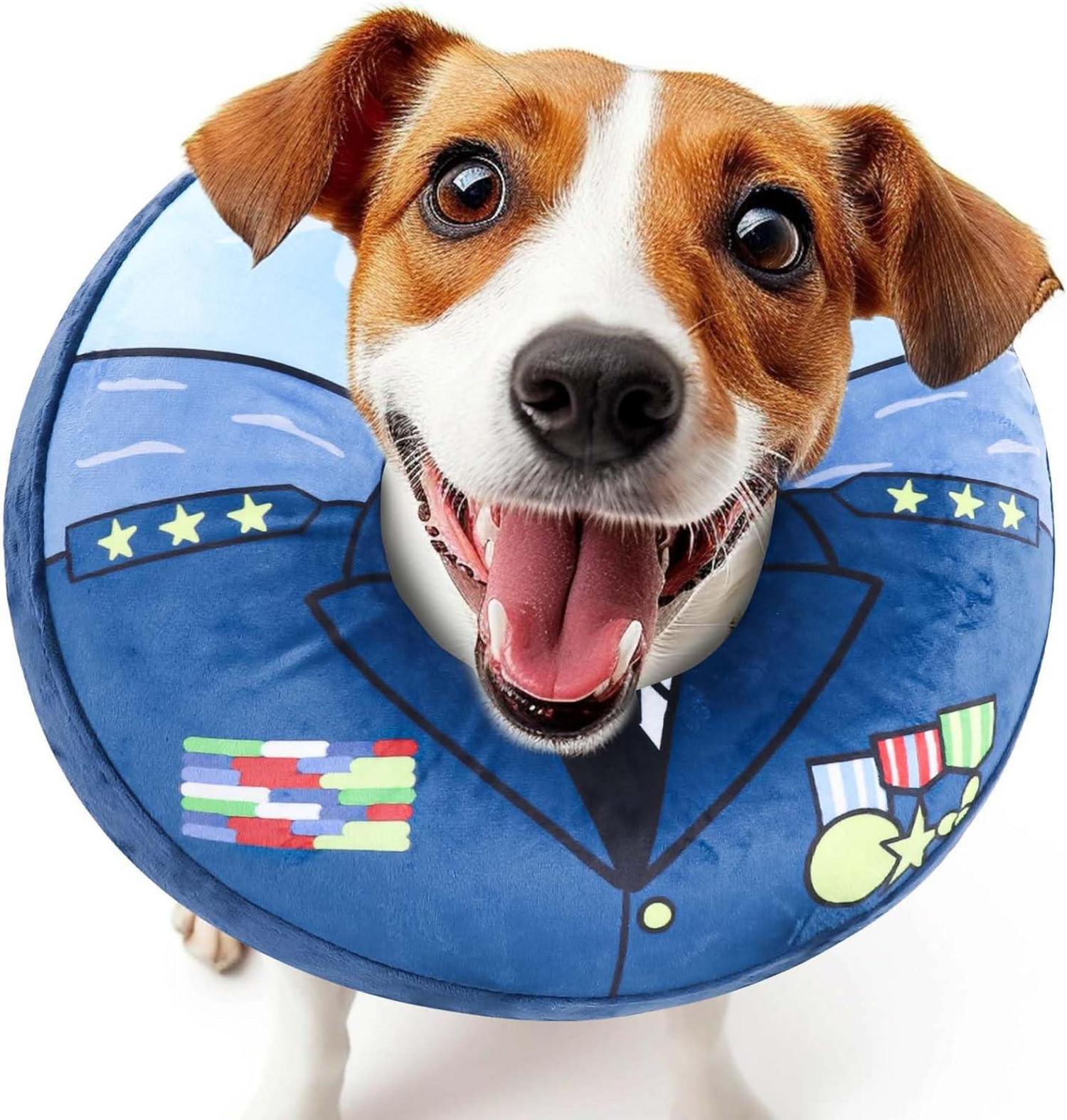 Halskrause Leckschutz Hund Katzen Genesung Operationen Wunden